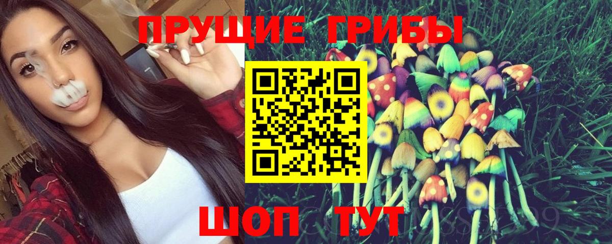 Галлюциногенные грибы прущие грибы  Псилоцибиновые грибы мицелий  Оренбург  Вход с VPN 