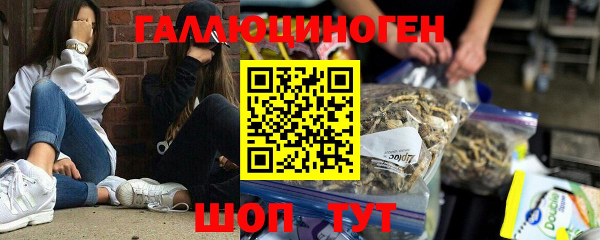 Галлюциногенные грибы Psilocybine cubensis Оренбург